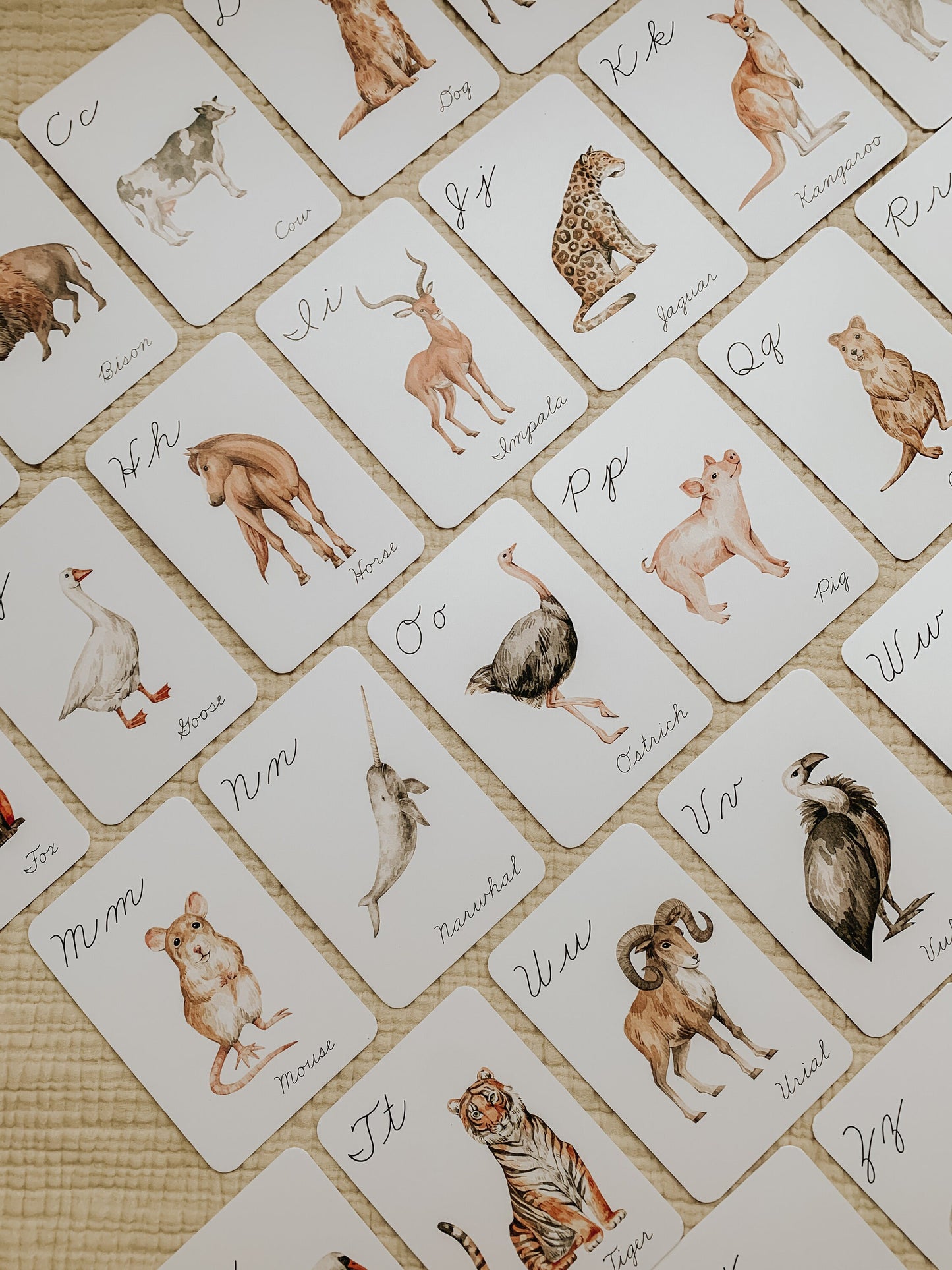 Animals A - Z Cursive Flashcards