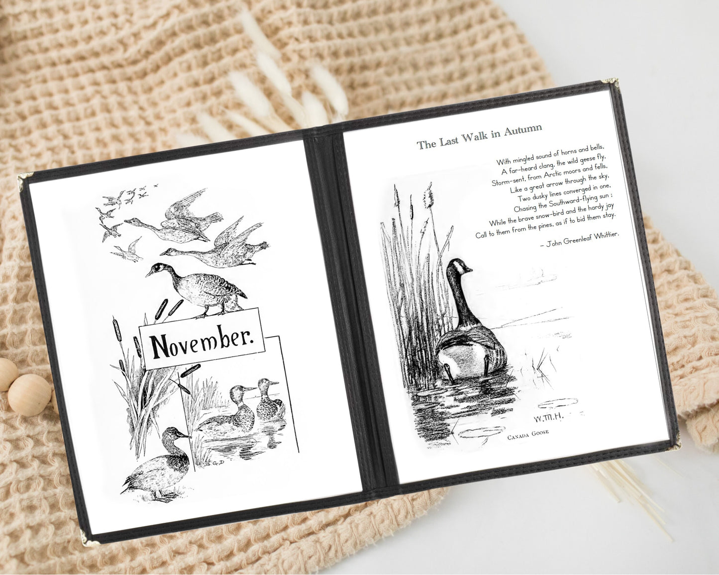 Through the Year with Birds and Poems Morning Menu
