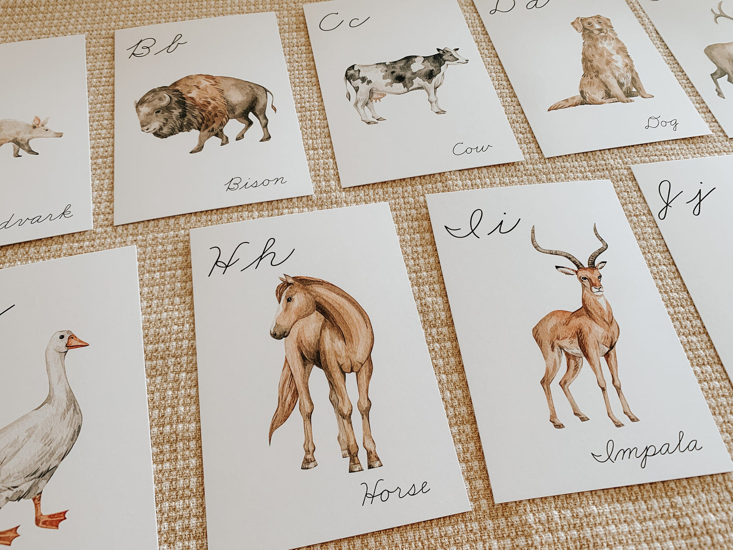 Animals A - Z Cursive Flashcards