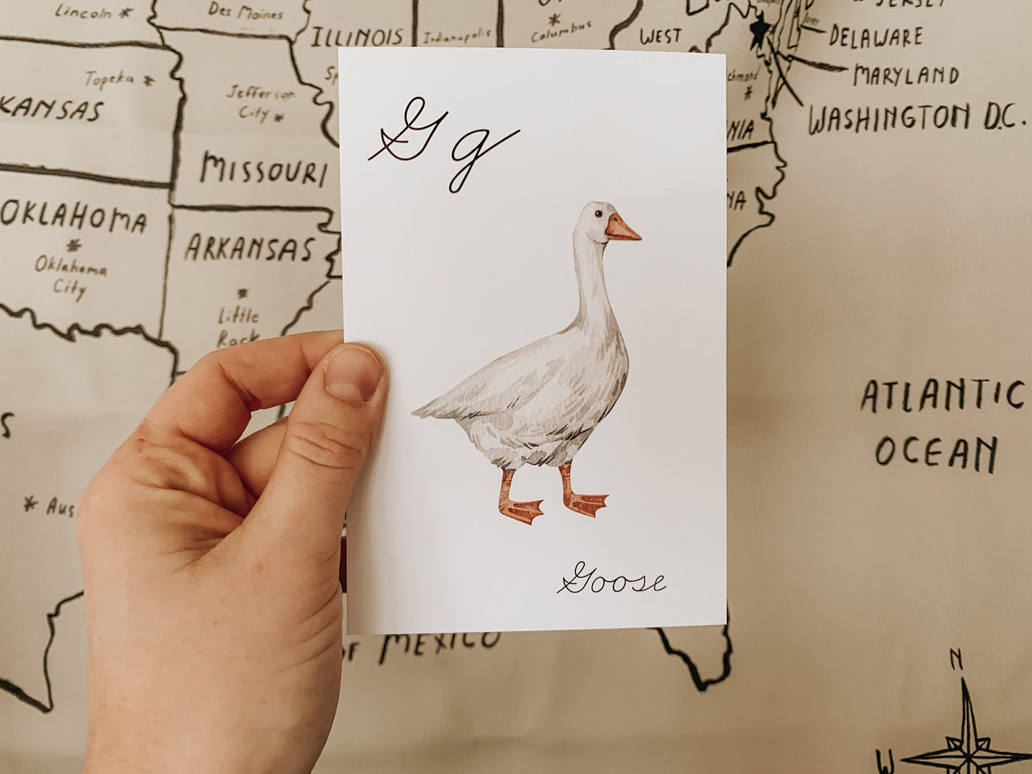Animals A - Z Cursive Flashcards