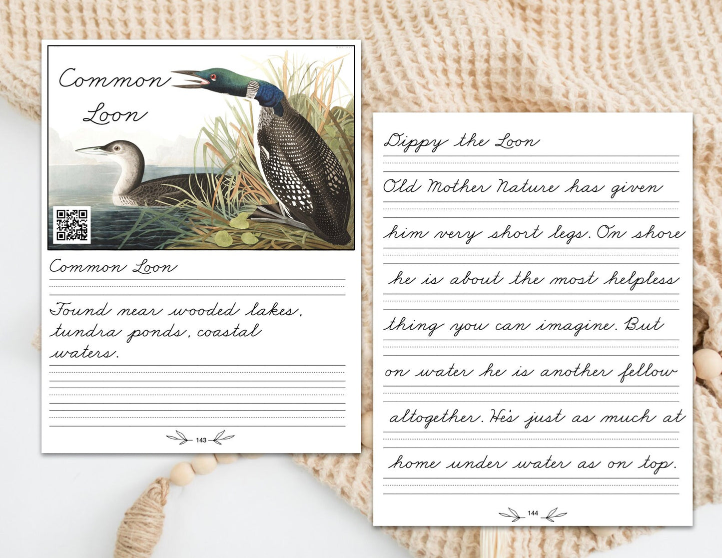 Burgess Birds in Cursive