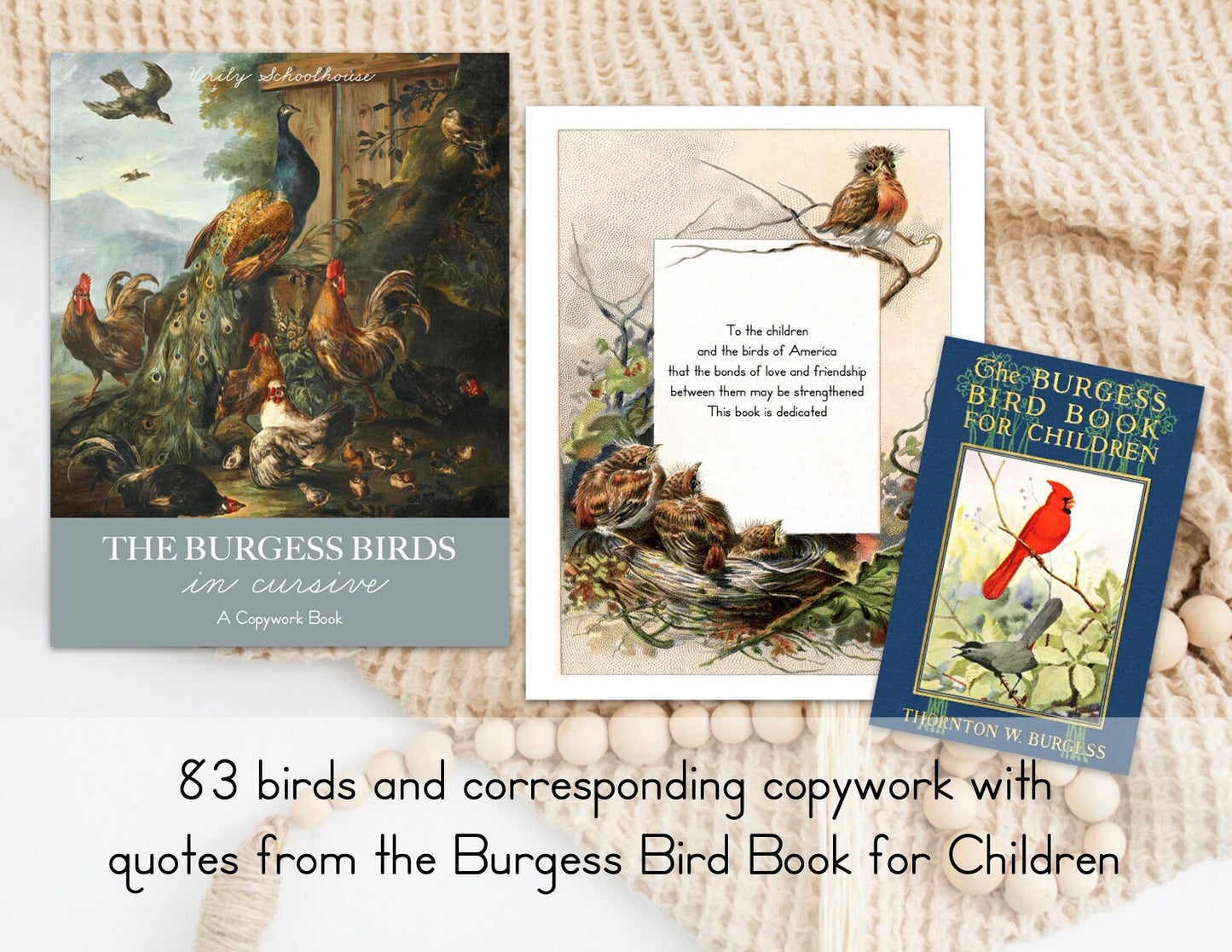 Burgess Birds in Cursive