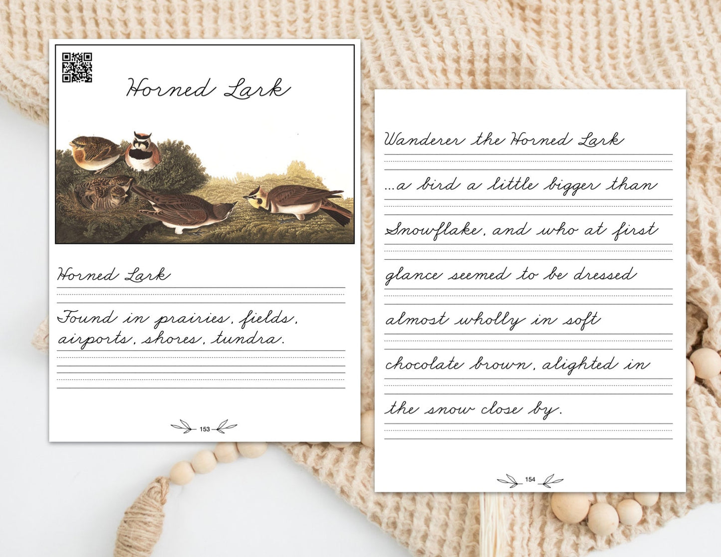 Burgess Birds in Cursive