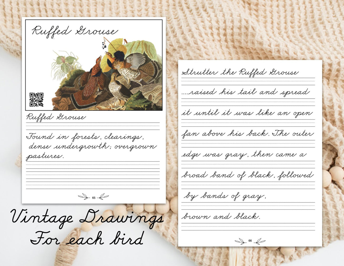 Burgess Birds in Cursive