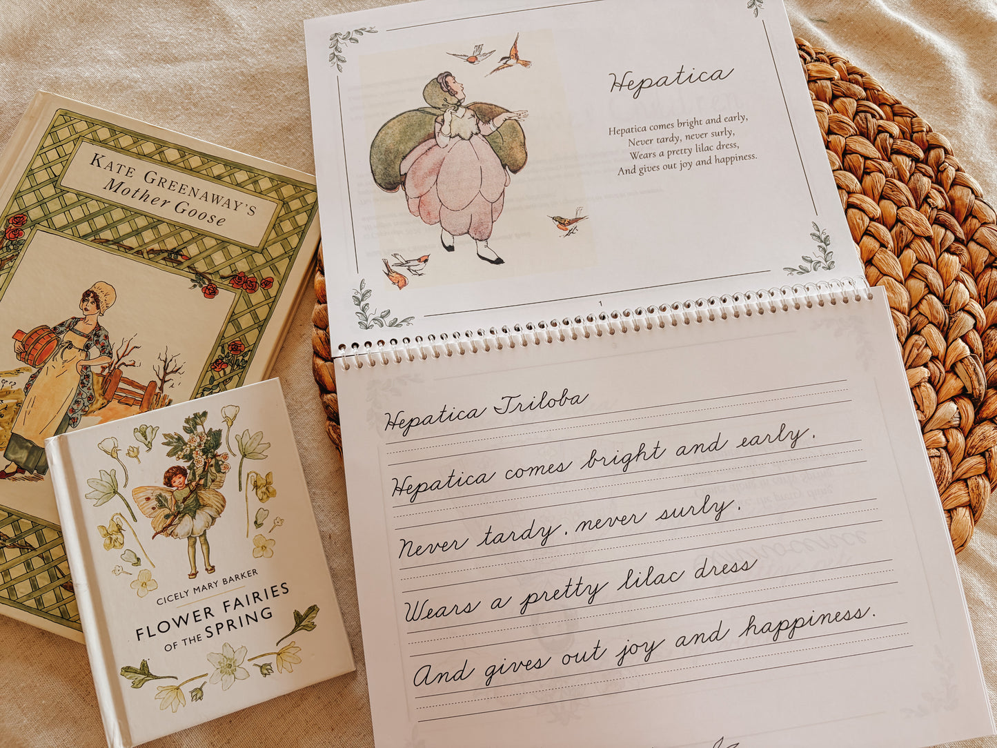 Wild Flower Children in Cursive: A Copywork Book DIGITAL DOWNLOAD