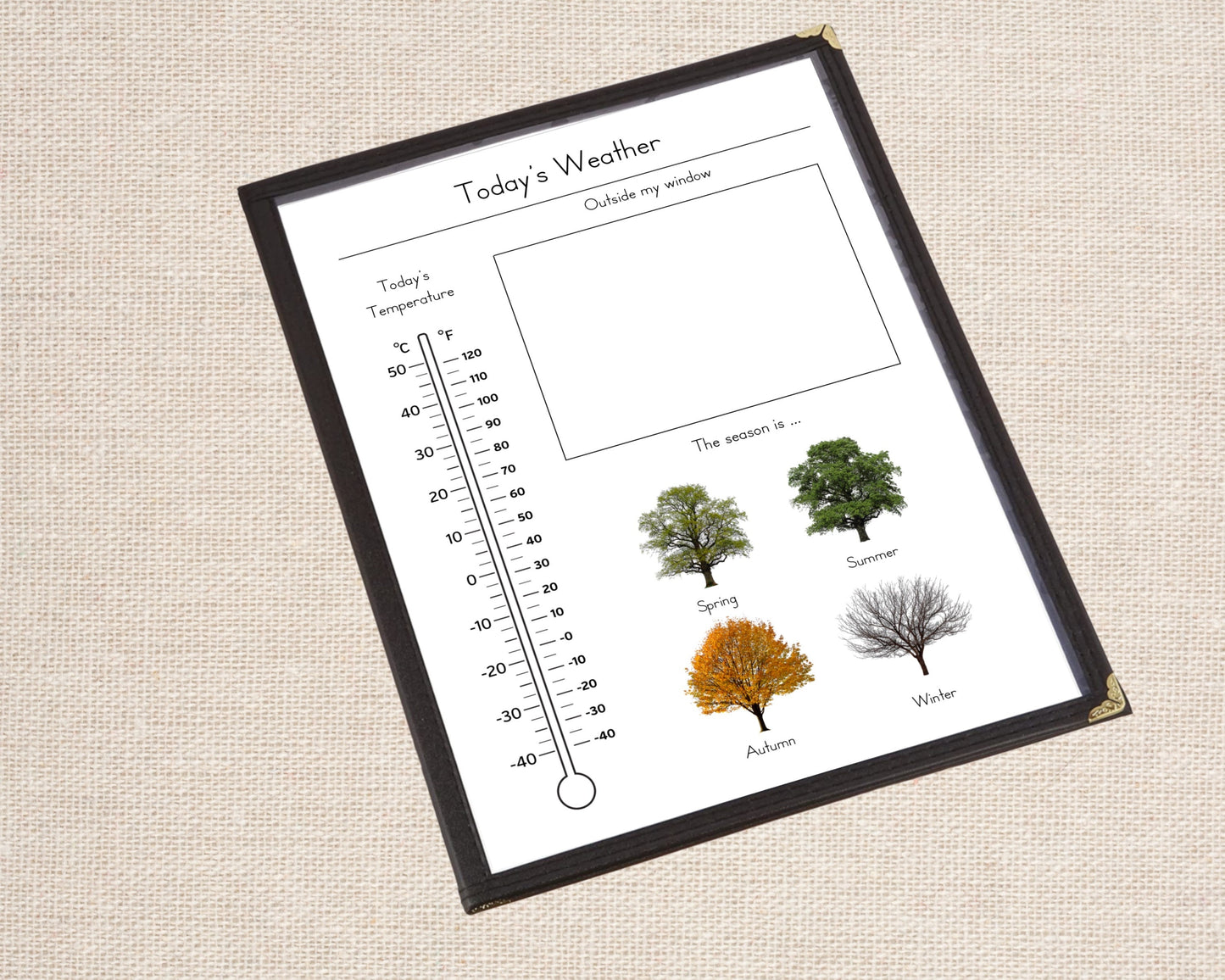 Weather Tracking Pages