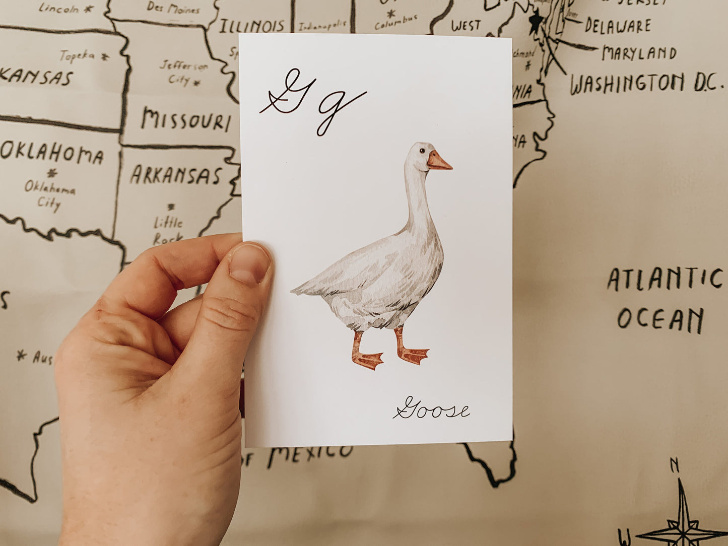 Animals A - Z Cursive Flashcards