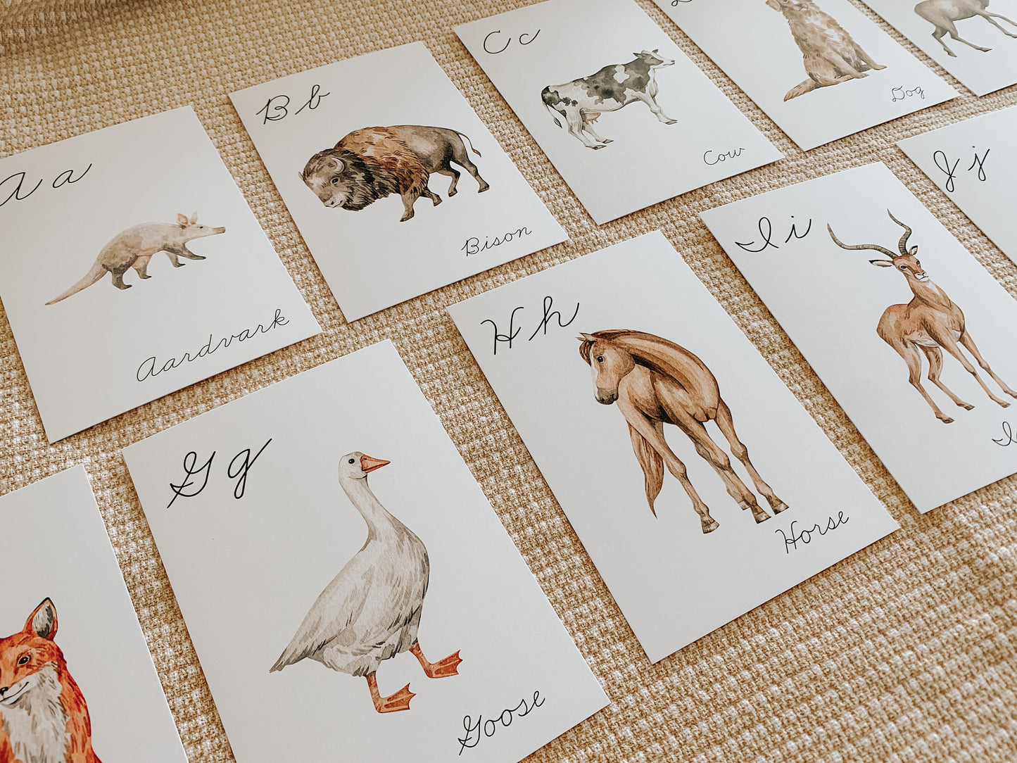 Animals A - Z Cursive Flashcards