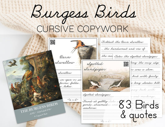 Burgess Birds in Cursive